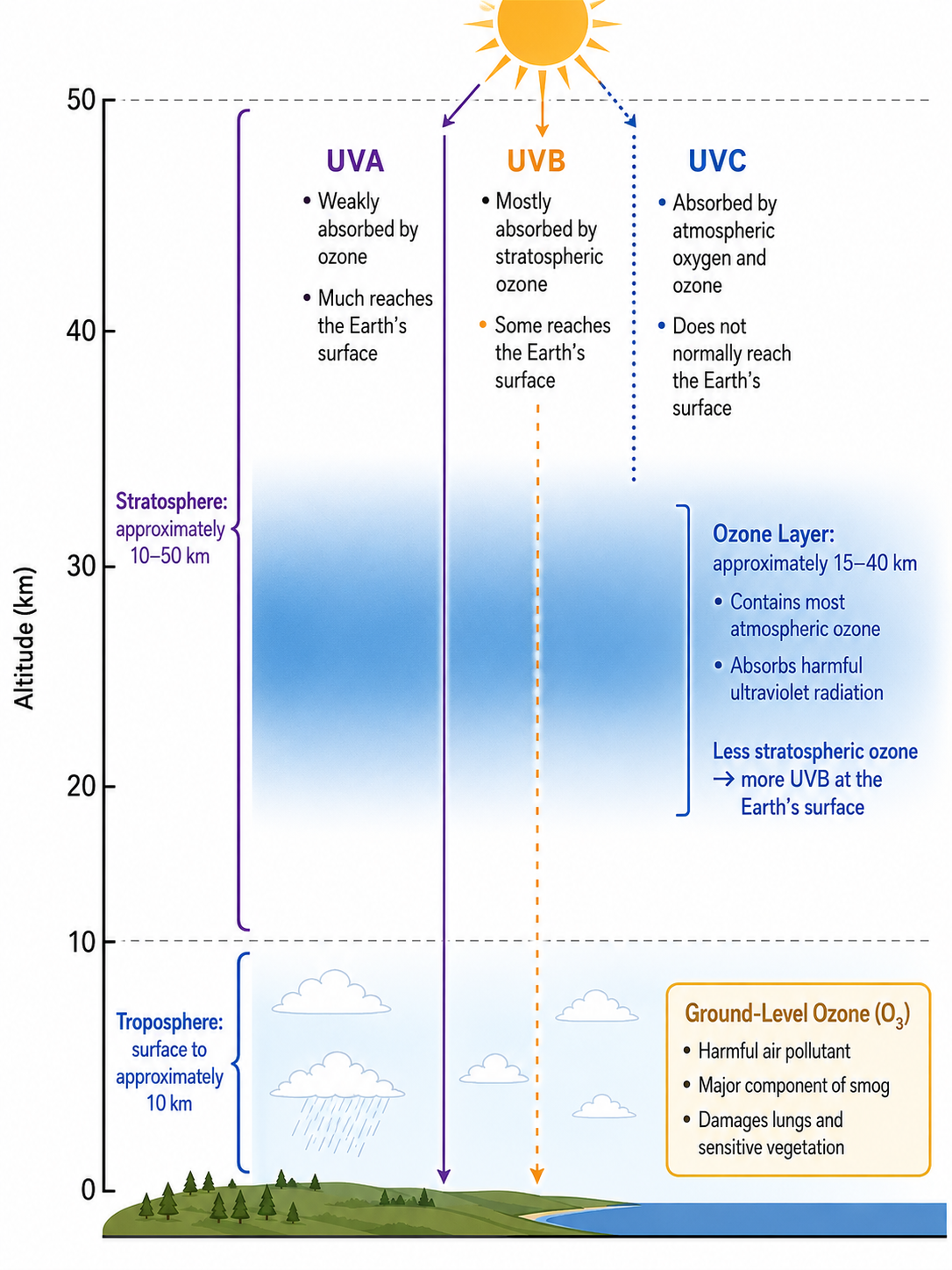 Vertical atmosphere diagram comparing harmful ground-level ozone in the troposphere with protective stratospheric ozone and showing the relative absorption of UVA UVB and UVC radiation